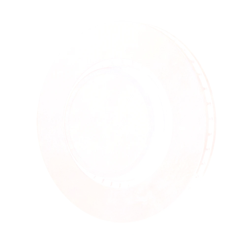 RK-Austria Brake Discs