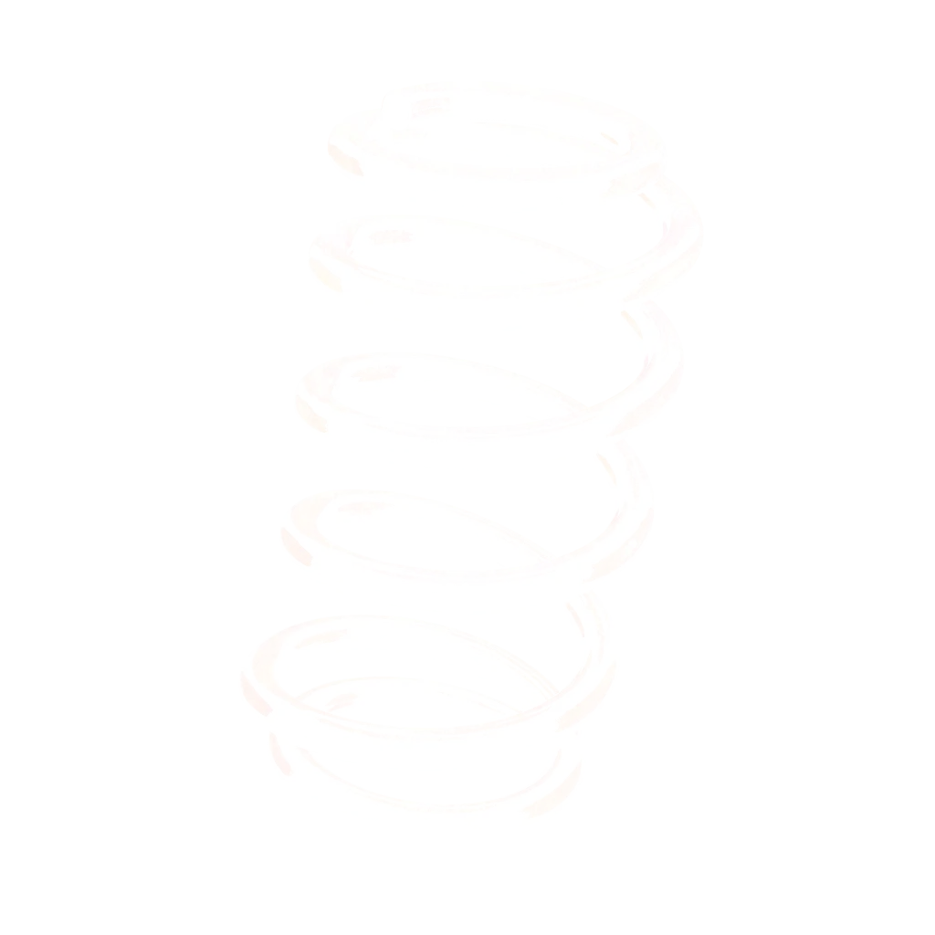 RK-Austria Suspension Springs